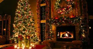 圣诞室内树光