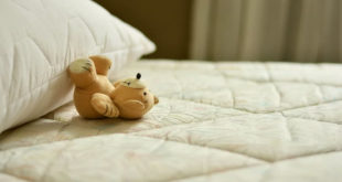 枕头和泰迪熊井 处理床垫